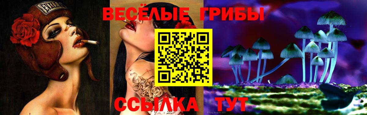 дарнет шоп  Вход с VPN  Псилоцибиновые грибы Cubensis  Баксан  Галлюциногенные грибы Psilocybe 